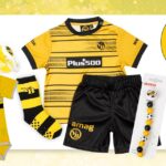 bsc-young-boys